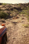 162_Zum-Marienflusstal_Namibia_03_1991-1