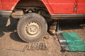 187_Palmwag-Camp-Feder-hi-re-gebrochen_Namibia_08_1991-1