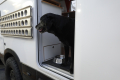 Wachhund Sourie - immer dabei.