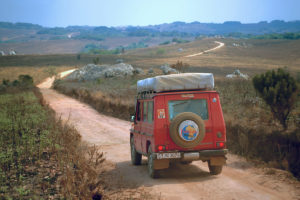Nyika Plateau, Malawi